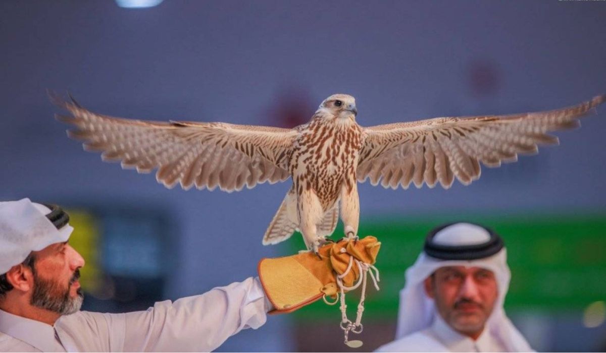 Katara International Hunting and Falcons Exhibition S'hail 2024 to Start Today at Katara